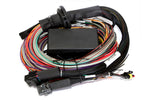 Load image into Gallery viewer, Haltech Elite 2500 & 2500 T 8ft Premium Universal Wire-In Harness