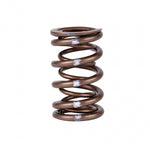 Load image into Gallery viewer, Skunk2 Pro Series Honda/Acura K-Series i-VTEC XP Valve Spring Set (Dual Springs)