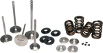Load image into Gallery viewer, Ferrea 17-18 Audi 2.5 TFSI Single Spring Kit