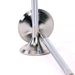 Load image into Gallery viewer, Skunk2 Alpha Series Honda/Acura Stock Size H Series Valve Set (Standard Compression)