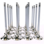 Load image into Gallery viewer, Skunk2 Alpha Series Honda/Acura Stock Size H Series Valve Set (Standard Compression)