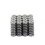 Load image into Gallery viewer, Skunk2 Alpha Series Honda/Acura D Series Valve Spring and Titanium Retainer Kit