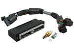Load image into Gallery viewer, Haltech Nissan Skyline R34 GT-T/Stagea WC34 (M/T Only) Elite 2000/2500 Plug-n-Play Adaptor Harness