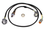 Load image into Gallery viewer, Haltech NTK Wideband Hardware Pack