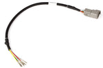 Load image into Gallery viewer, Haltech Wideband Adaptor Harness 400mm
