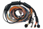 Load image into Gallery viewer, Haltech NEXUS R3 Universal Wire-In Harness - 2.5M (8ft)
