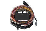 Load image into Gallery viewer, Haltech Elite 750 8ft Premium Universal Wire-In Harness
