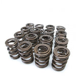 Load image into Gallery viewer, Skunk2 Tuner Series Honda/Acura (H22A/F20B) DOHC VTEC Alpha Valve Spring Set (Dual Springs)
