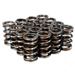 Load image into Gallery viewer, Skunk2 Pro Series Honda/Acura B-Series VTEC XP Valve Spring Set (Dual Springs)
