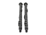 Load image into Gallery viewer, Skunk2 Pro Series 2 Honda S2000 F20C/F22C Camshafts
