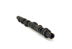 Load image into Gallery viewer, Skunk2 Tuner Series D-Series Honda Stage 4 Camshaft
