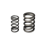 Load image into Gallery viewer, Skunk2 Tuner Series Honda/Acura (B16A/ B17A/ B18C) DOHC VTEC Alpha Valve Spring Set (Dual Springs)
