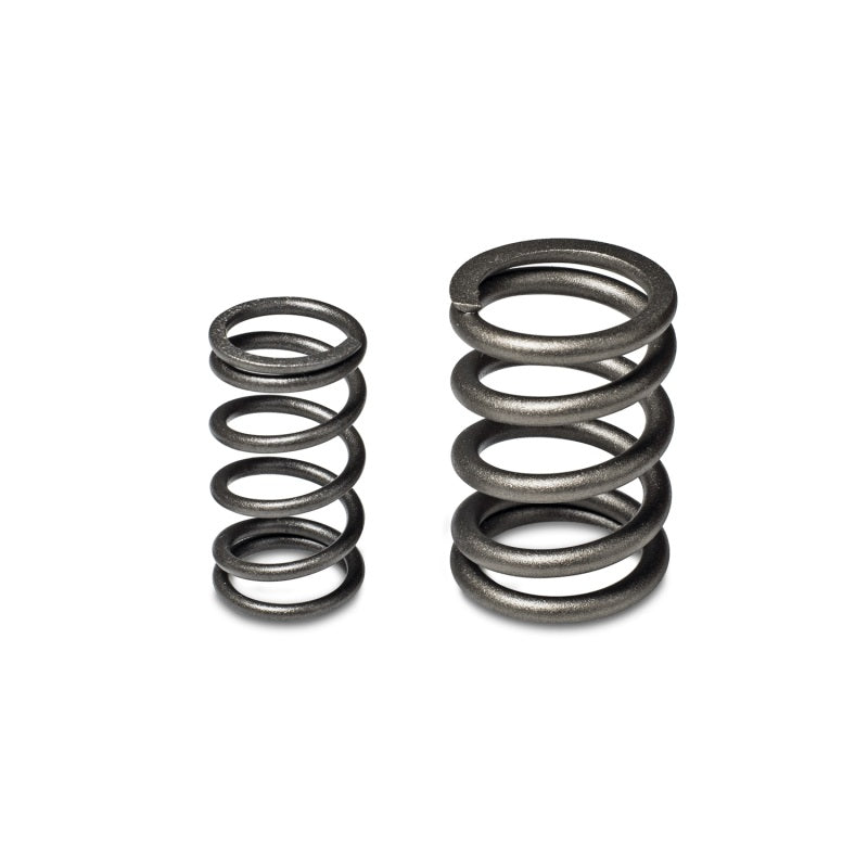 Skunk2 Tuner Series Honda/Acura (B16A/ B17A/ B18C) DOHC VTEC Alpha Valve Spring Set (Dual Springs)