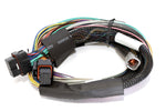 Load image into Gallery viewer, Haltech Elite 2500 8ft Basic Universal Wire-In Harness (Excl Relays or Fuses)
