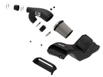 Load image into Gallery viewer, aFe POWER Momentum GT Pro Dry S Intake System 2021+ Ford F-150 V6-3.5L (tt)
