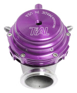 Load image into Gallery viewer, TiAL Sport MVR Wastegate 44mm (All Springs) w/Clamps - Purple
