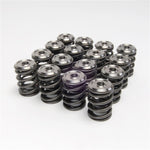 Load image into Gallery viewer, Skunk2 Alpha Series Honda/Acura K Series Valve Spring and Titanium Retainer Kit
