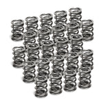 Load image into Gallery viewer, Supertech BMW M50/M52/S50/S52 Dual Valve Spring - Set of 24
