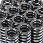 Load image into Gallery viewer, Skunk2 Alpha Series Honda D Series VTEC Valve Spring Set
