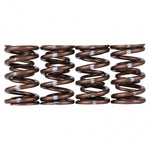 Load image into Gallery viewer, Skunk2 Pro Series Honda/Acura B-Series VTEC XP Valve Spring Set (Dual Springs)
