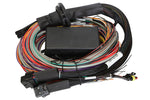 Load image into Gallery viewer, Haltech Elite 1500 8ft Premium Universal Wire-In Harness
