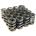 Load image into Gallery viewer, BLOX Racing Valve Springs for B18A-B / B20 (1.8L-2.0L DOHC)
