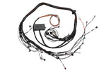 Load image into Gallery viewer, Haltech Toyota 2JZ Elite 2000/2500 Terminated Engine Harness
