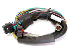 Load image into Gallery viewer, Haltech Elite 2500 Basic Universal Wire-In Harness ECU Kit
