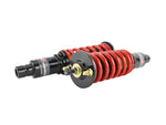 Load image into Gallery viewer, Skunk2 88-91 Honda Civic/CRX Pro-ST Coilovers (Front 10 kg/mm - Rear 8 kg/mm)
