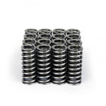 Load image into Gallery viewer, Skunk2 Alpha Series Honda D Series VTEC Valve Spring Set
