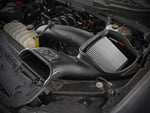 Load image into Gallery viewer, aFe 2021+ Ford F150 5.0L V8 MagnumFORCE Intake Stage-2 Pro DRY S
