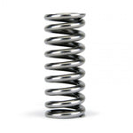 Load image into Gallery viewer, Skunk2 Alpha Series Honda D Series VTEC Valve Spring Set
