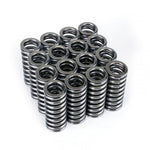 Load image into Gallery viewer, Skunk2 Alpha Series Honda D Series VTEC Valve Spring Set
