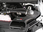 Load image into Gallery viewer, aFe Momentum GT Pro DRY S Intake System 2016 Ford F-150 EcoBoost V6-2.7L/3.5L (tt)
