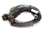 Load image into Gallery viewer, Haltech Elite 1500 8ft Basic Universal Wire-In Harness (Excl Relays or Fuses)
